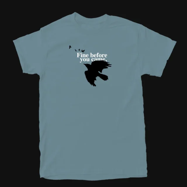 Fine before you came / Corvi